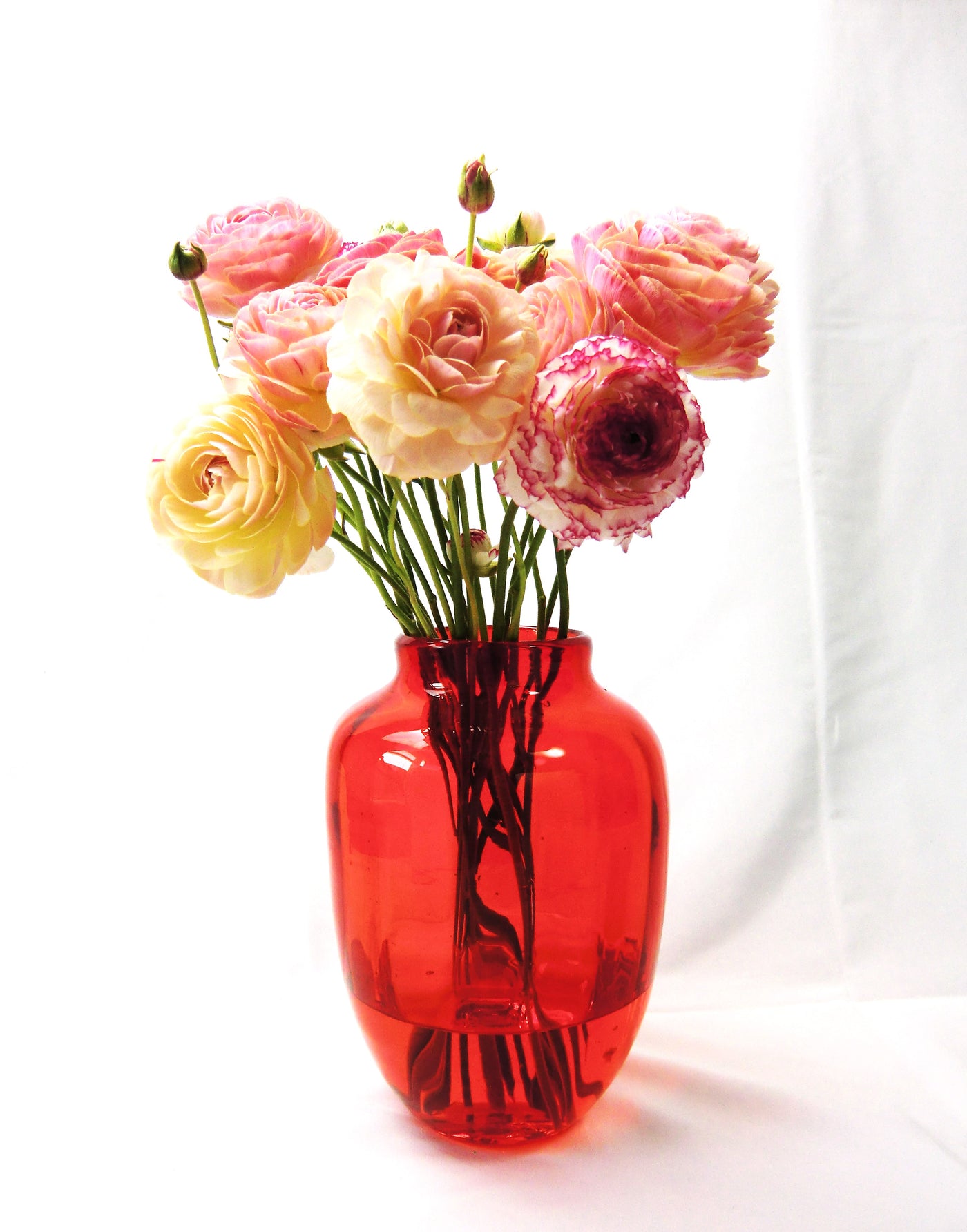 吹きガラス フラワーベース 発色が難しい木苺のような真っ赤な花瓶は 
